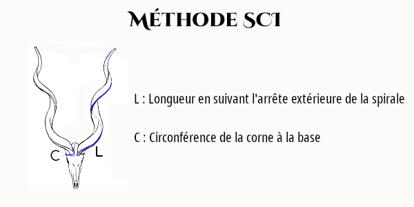 Méthode SCI
