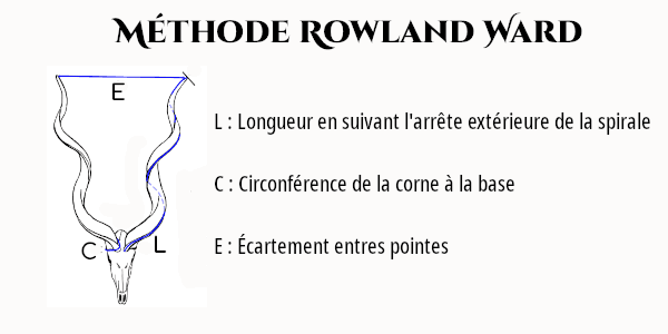 Méthode Rowland Ward